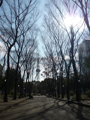 p1000808