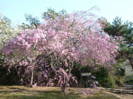 p1010459