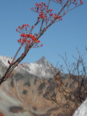 p1060957